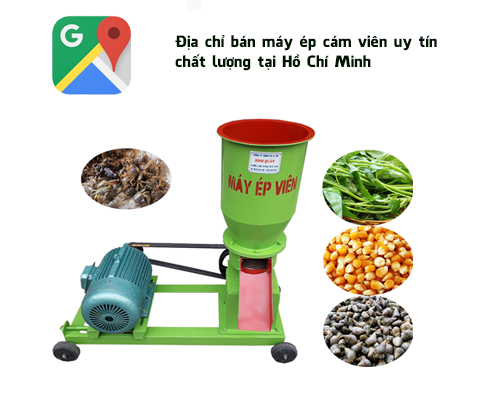Địa chỉ bán máy ép cám viên uy tín, chất lượng tại Hồ Chí Minh