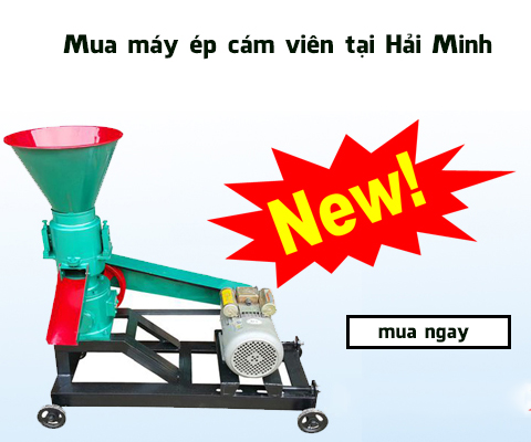 mua máy ép cám viên tại Hải Minh